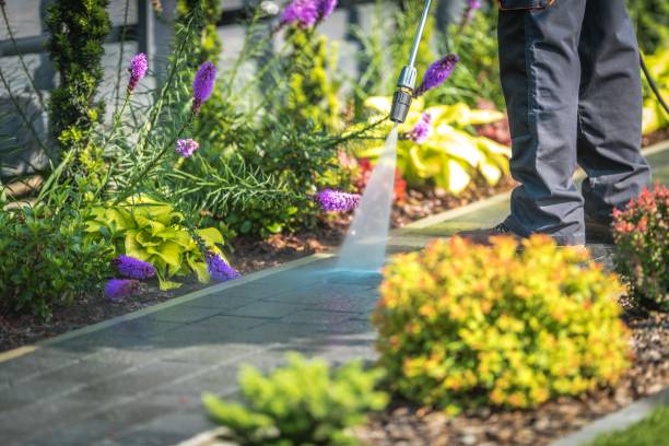 Best Animal Enclosure Cleaning  in Sparta, IL