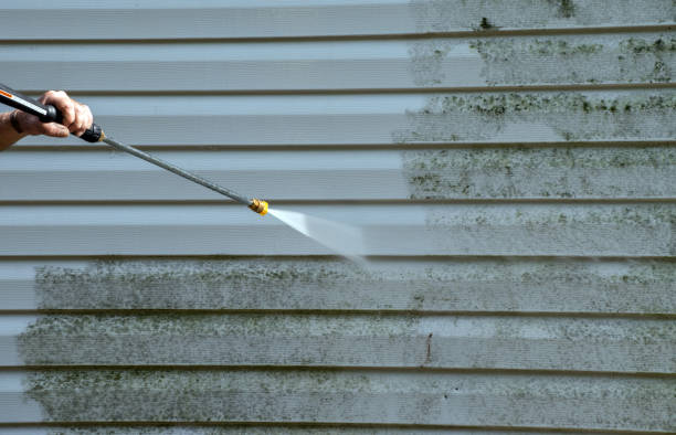 Best House Exterior Washing  in Sparta, IL